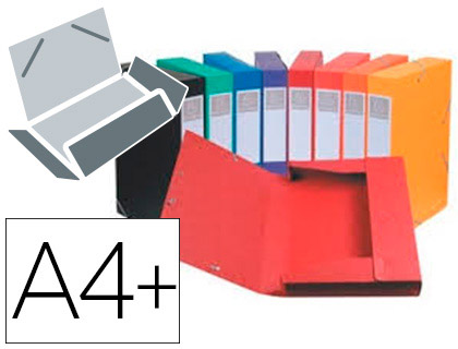 Boîte de classement Exacompta Cartobox carte lustrée A4+ 24x32cm dos 40mm coloris assortis