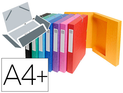 Boîte de classement Exacompta Cartobox carte lustrée A4+ 24x32cm dos 60mm coloris assortis