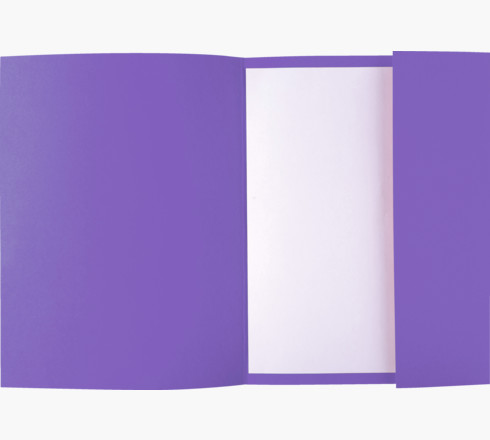 Chemise cartonnée 1 rabat Exacompta Rock's 210 carte rigide 24x32cm coloris violine - Paquet de 50