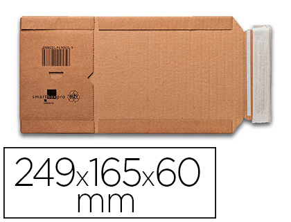 Fourniture de bureau : Boite expedition postale gpv universel carton recyclable paquet 2 unites sous film 249x165x60mm