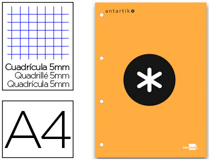 Fournitures de bureau : Bloc-notes liderpapel antartik 200 pages encollées 100g a4 quadrillage 5mm coloris orange